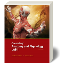 Cover for Essentials of Anatomy and Physiology Lab I 3