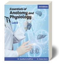 Cover image for Essentials of Anatomy and Physiology Lab II 3