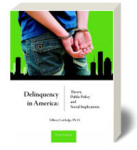 Cover for Delinquency in America: Theory, Public Policy and Social Implications 1