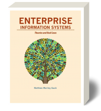 Cover for Enterprise Information Systems: Theory and Cases 1