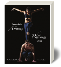 Cover for Essentials of Anatomy and Physiology Lab I 1